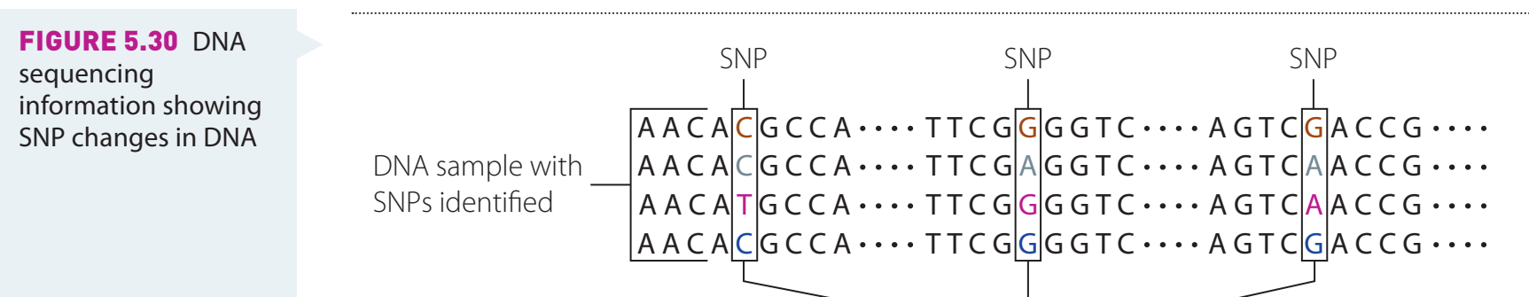 A visual representation of DNA sequencing steps including key innovations. Each component of the sequencing process is connected to the description in the text to enhance understanding.