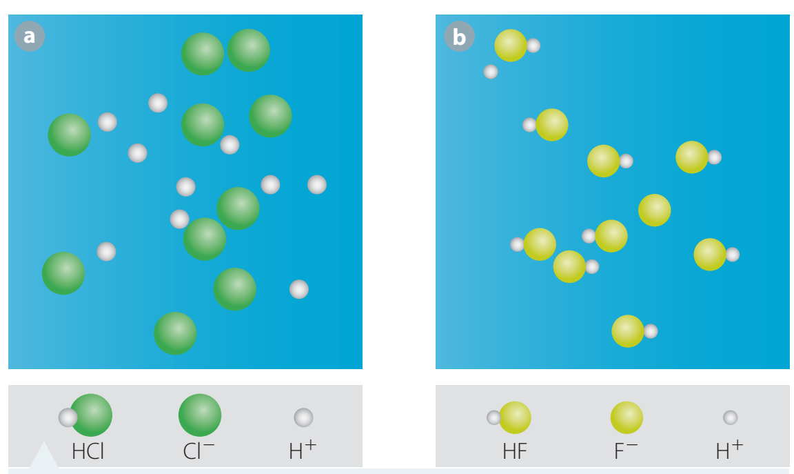 Illustration of proton transfer in HCl/Cl⁻ pair.
