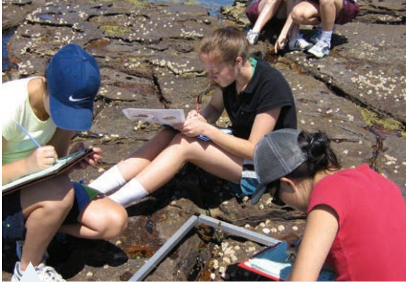 Field Study Setup