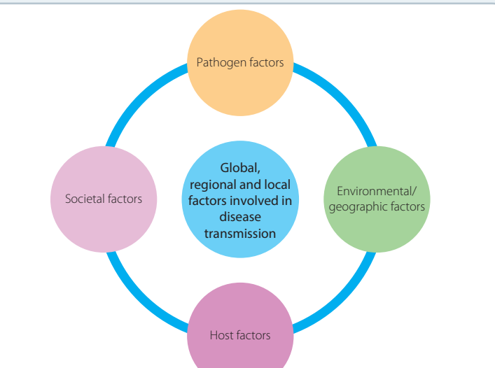 Flowchart showing pathways from genetic, environmental, and age-related factors leading to respective hearing disorders.