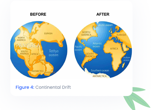 Figure 4: Continental Drift