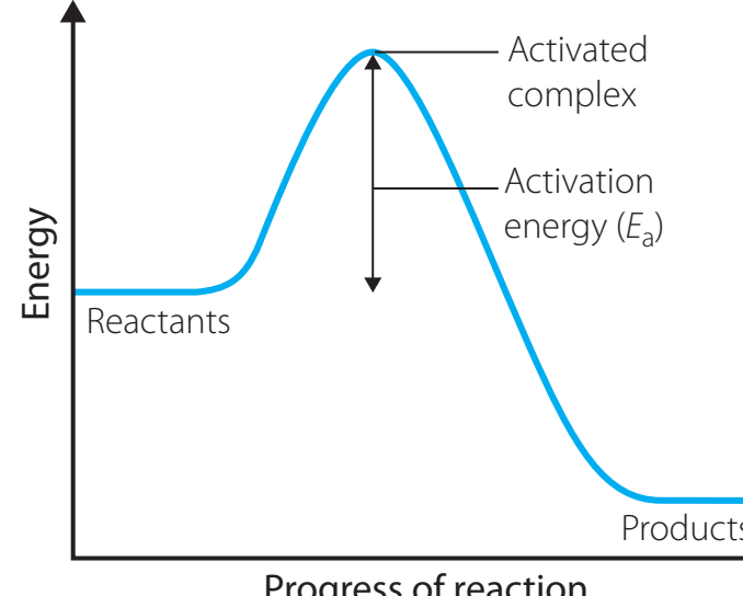 Energy profile diagram of a reversible reaction