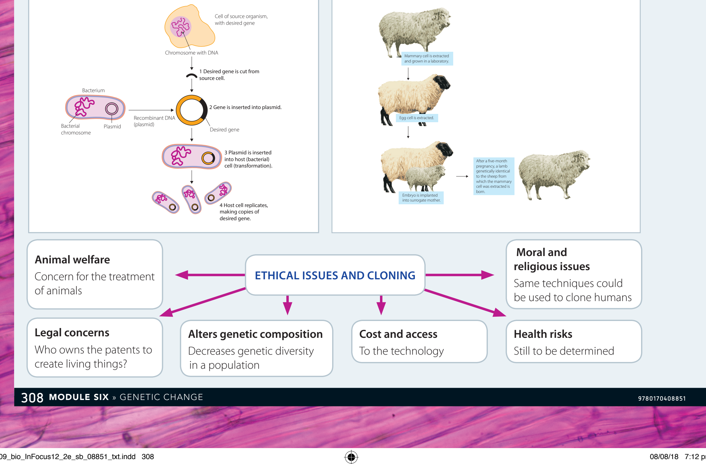 Differences and similarities in cloning methods.