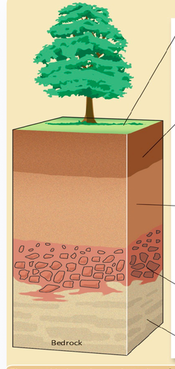 Soil Profile Diagram