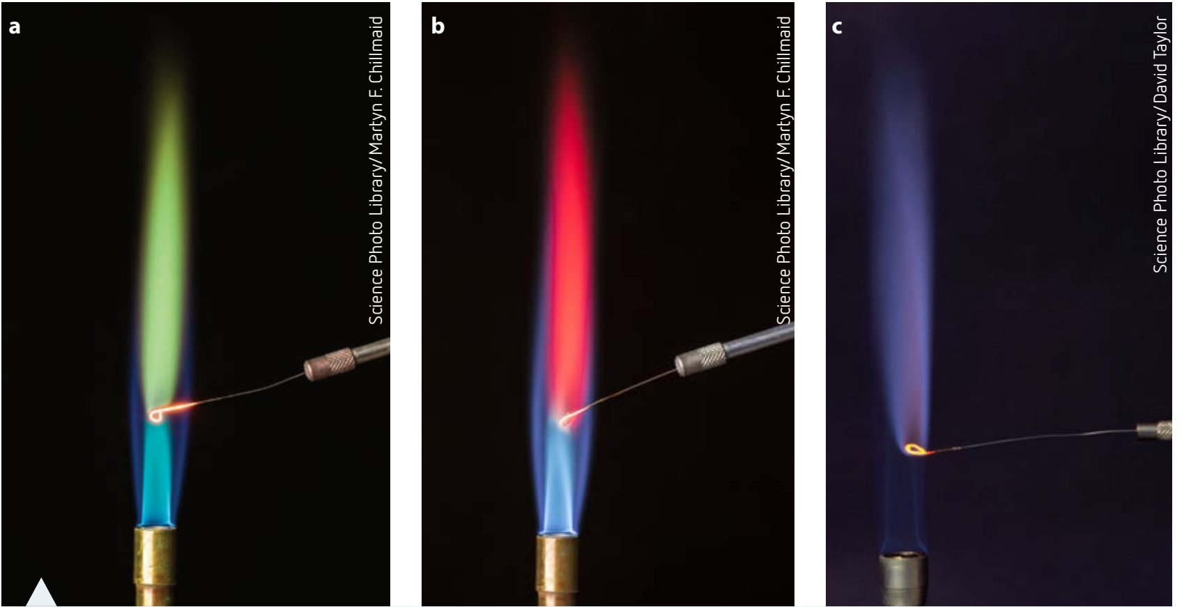 Observation Template for flame test.