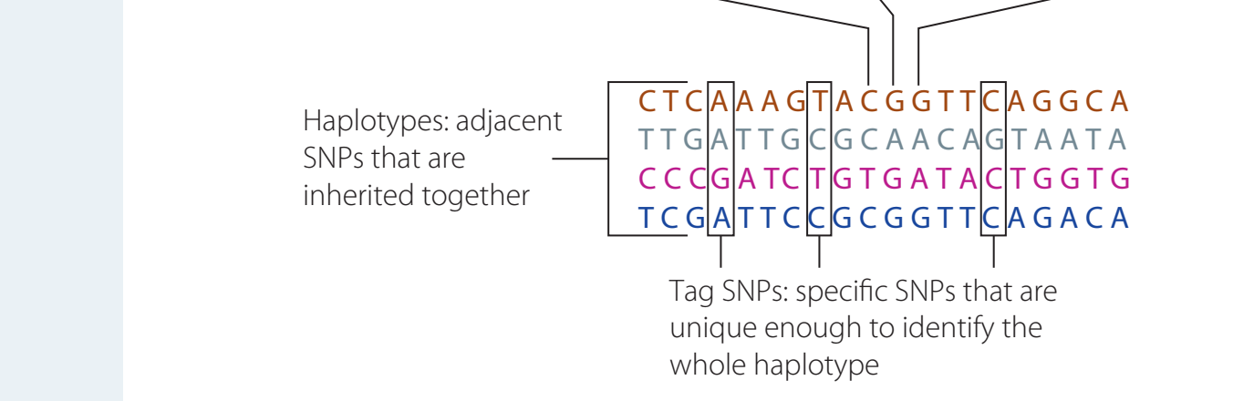 An example output from Genome-Wide Association Studies (GWAS) with clear annotations highlighting significant genetic markers.