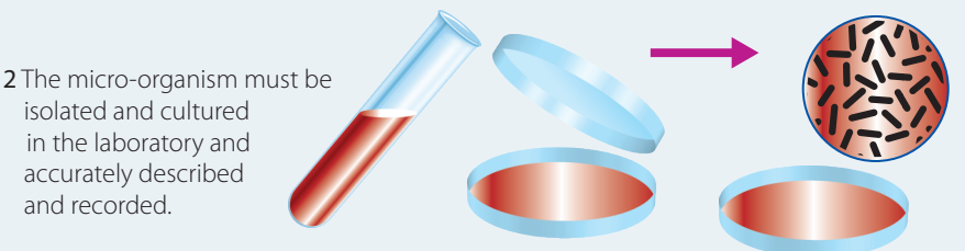 MEOR Process Diagram