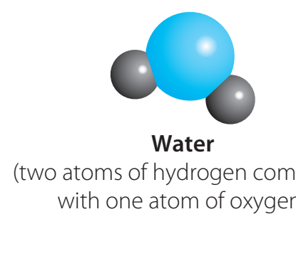 Diagram showing H2O with atomic masses labeled. Similar style for other molecules.