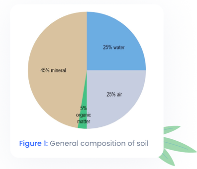 General composition of soil