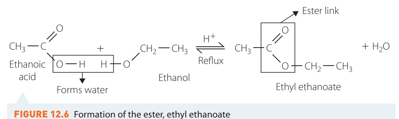 Illustrates esterification structure changes.