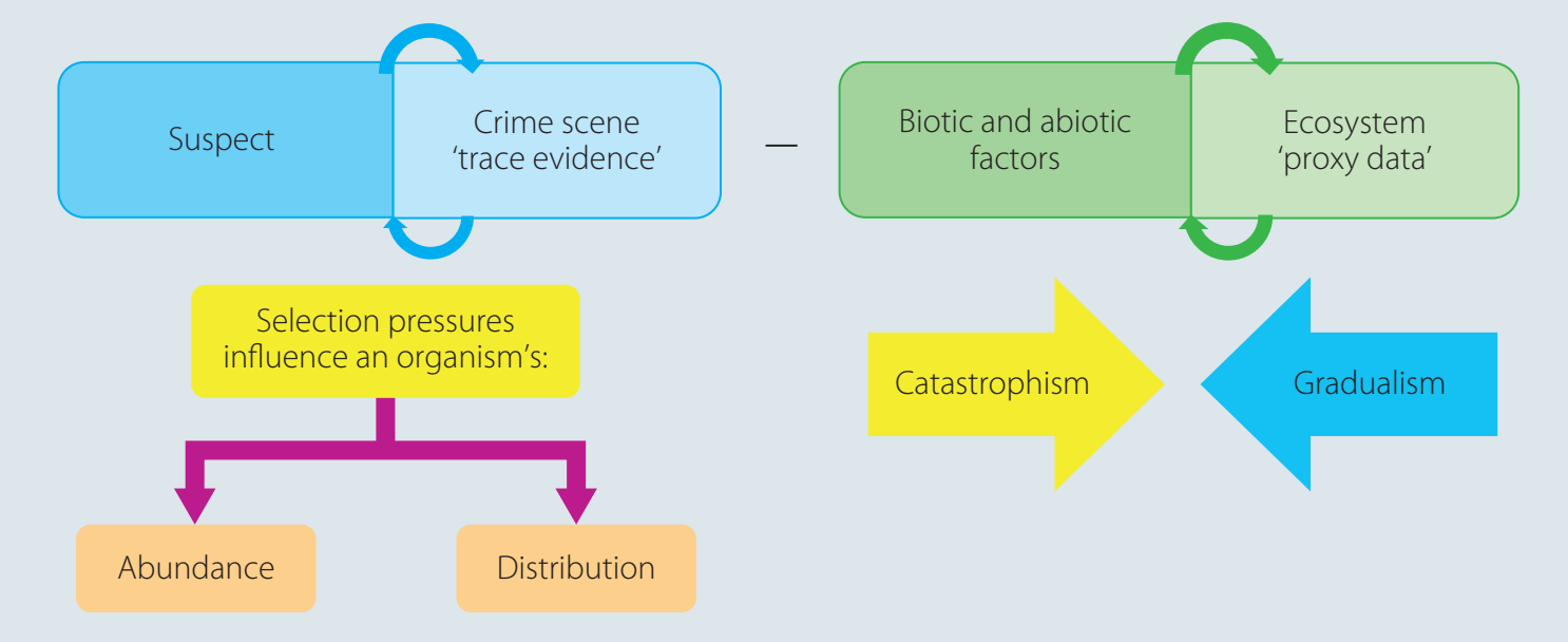 Ecosystem Components