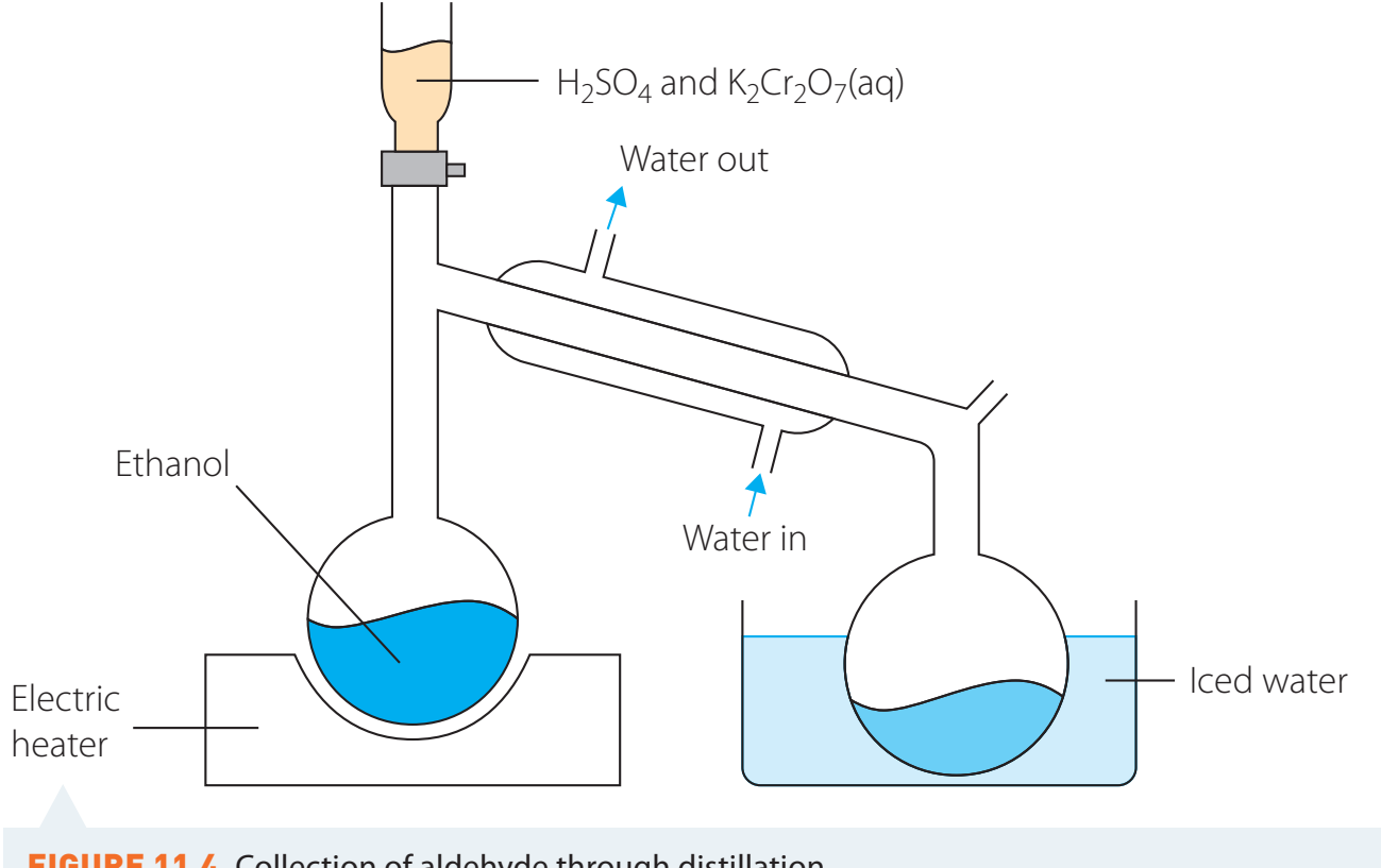 Shows the reflux setup typically used to ensure optimal conditions during esterification.
