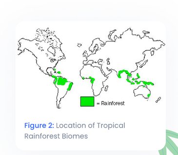 Figure 2: Location of Tropical Rainforest Biomes