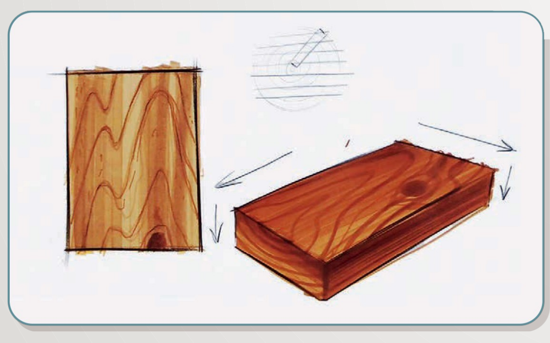 Wood Grain and Hardness