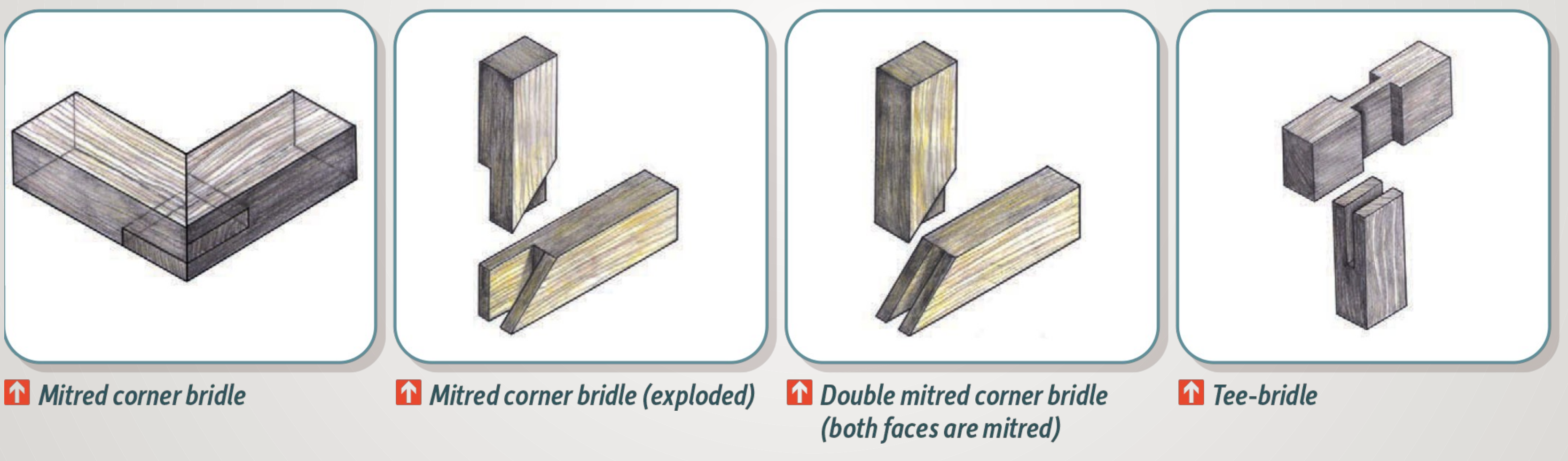 Bridle Joint Diagram