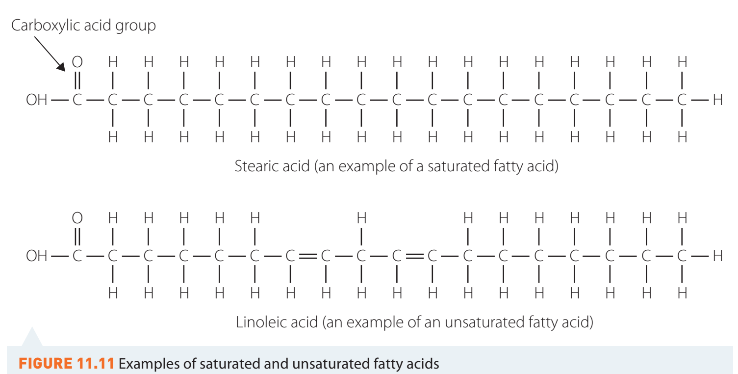 Diagram comparing structures of saturated and unsaturated hydrocarbons, focusing on double and triple bonds.