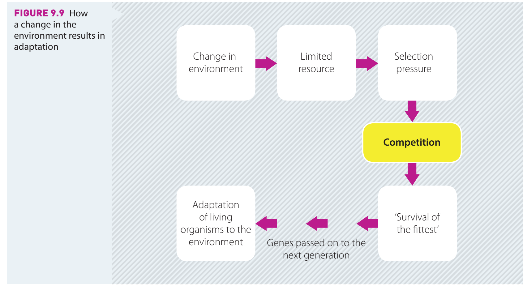 Adaptive Management