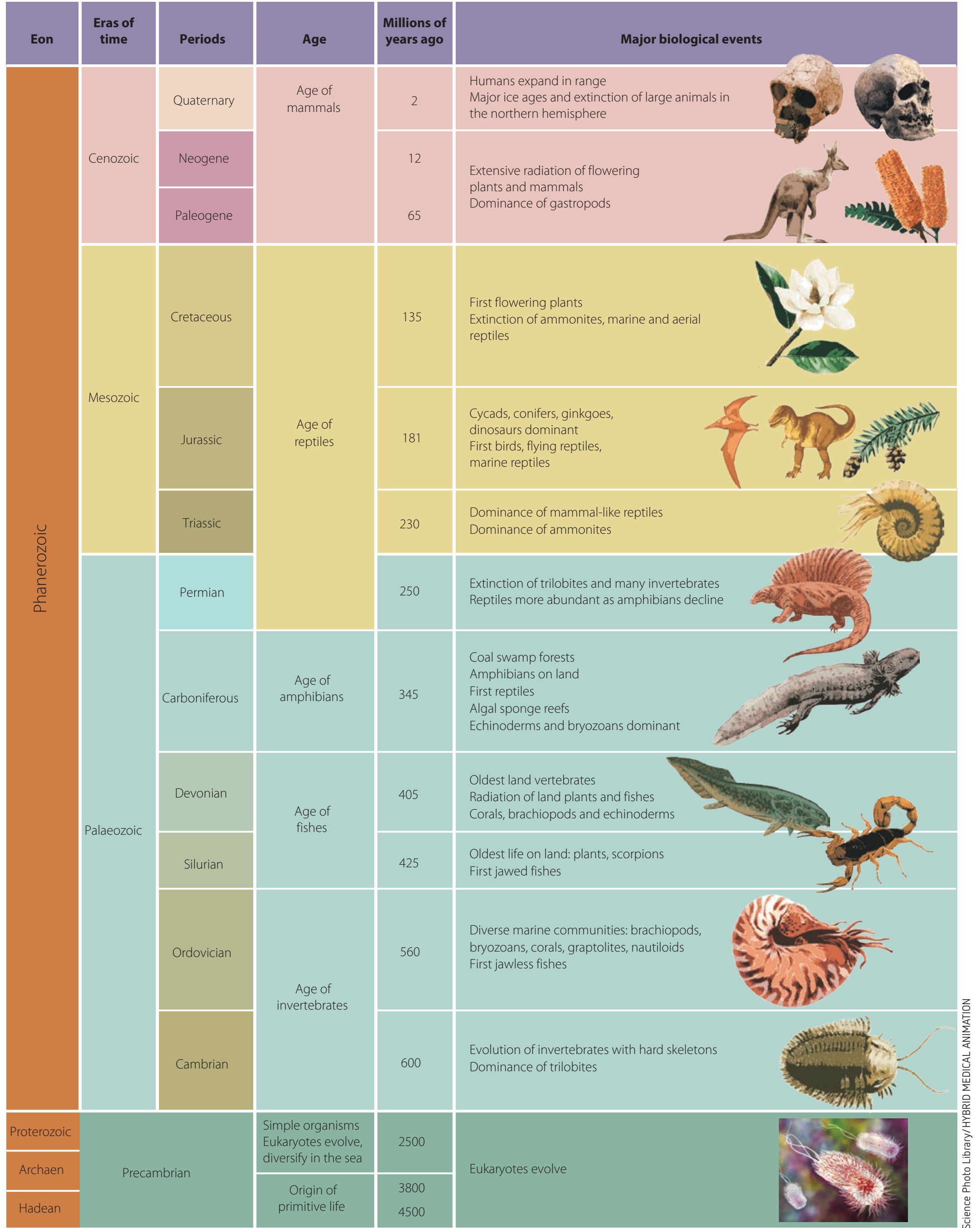 Diagram met Pieterse se hoofliterêre werke, hul beskrywings en impak.