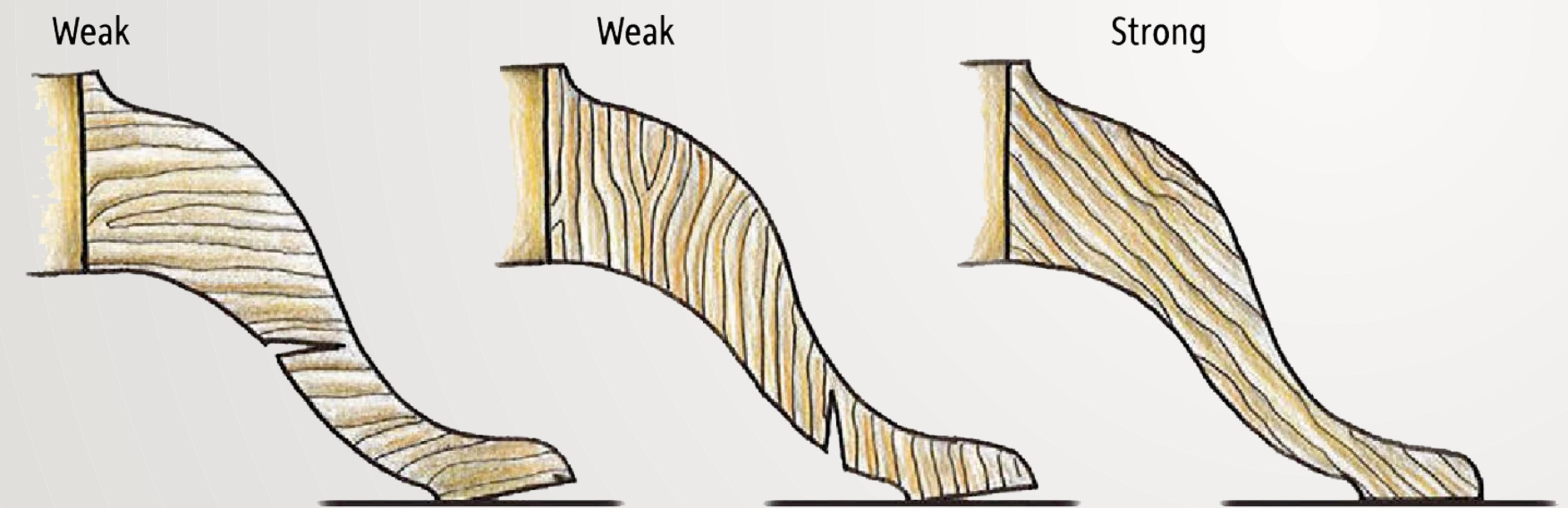 Wooden Beams Grain Orientation