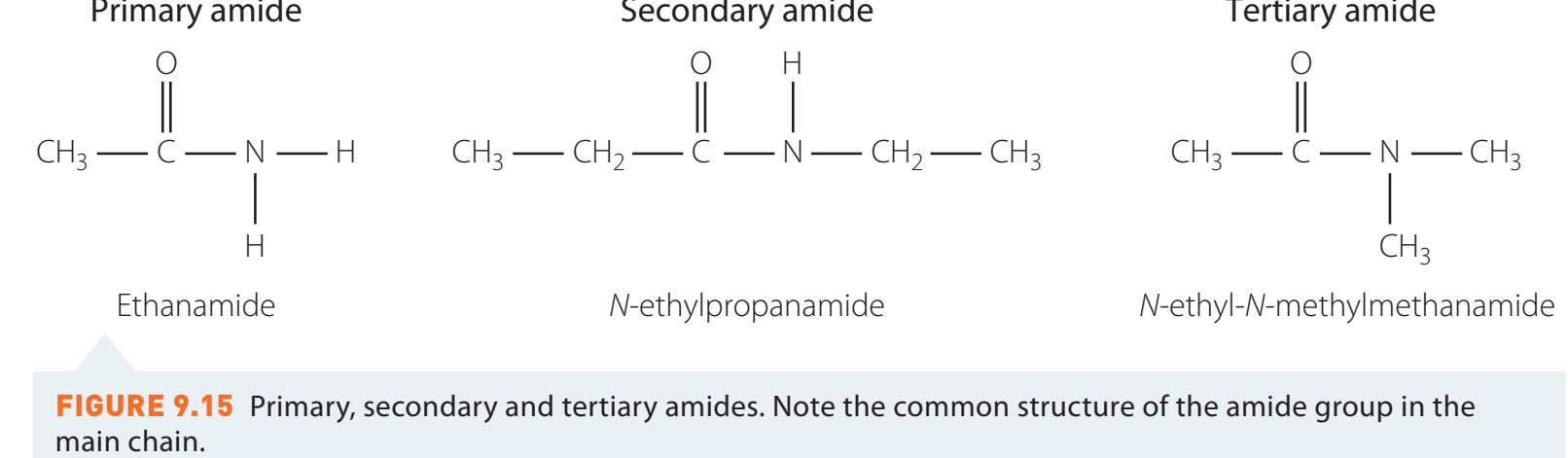 Structural differences between amines and amides.