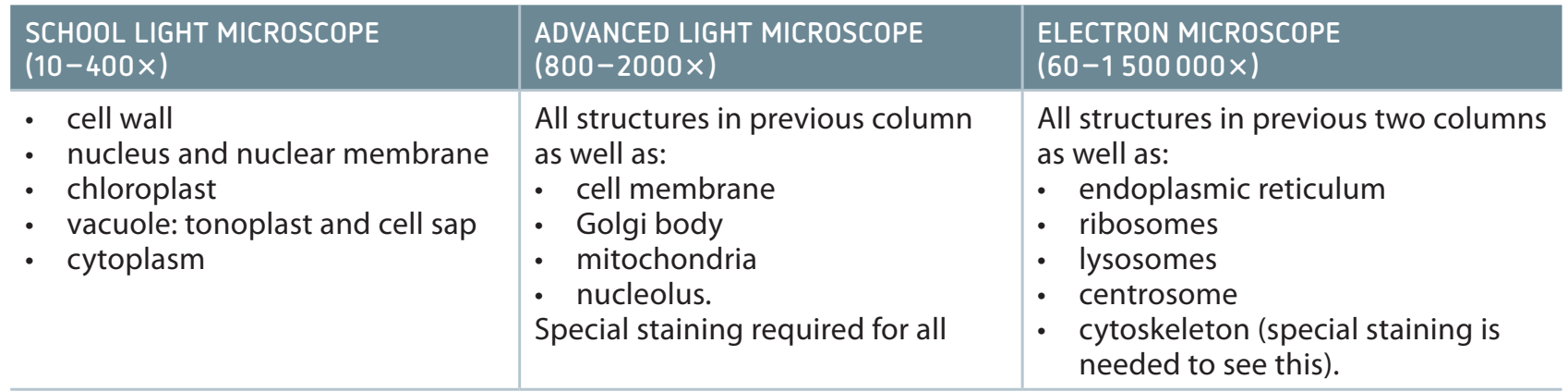 Diagram comparing TEM and SEM.