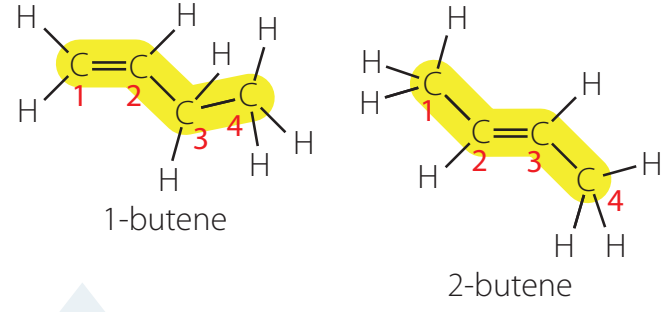 Diagram showing structural isomers of butene, highlighting variations in carbon backbone.