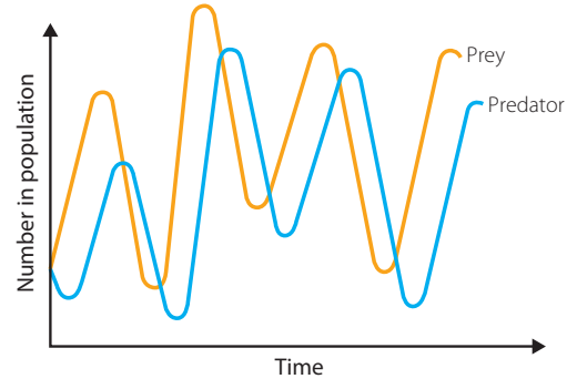 Chart detailing shift in predator-prey dynamics due to environmental influences.